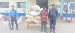राक्सिराङबाट ३४५ केजी गाँजा सहित २ जना पक्राउ